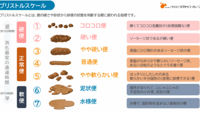 ブリストルスケール