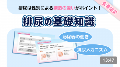 排尿の基礎知識
