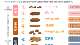 排泄ケアサポート資料