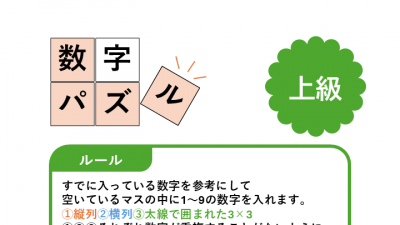 【工作レク】数字パズル上級No.11